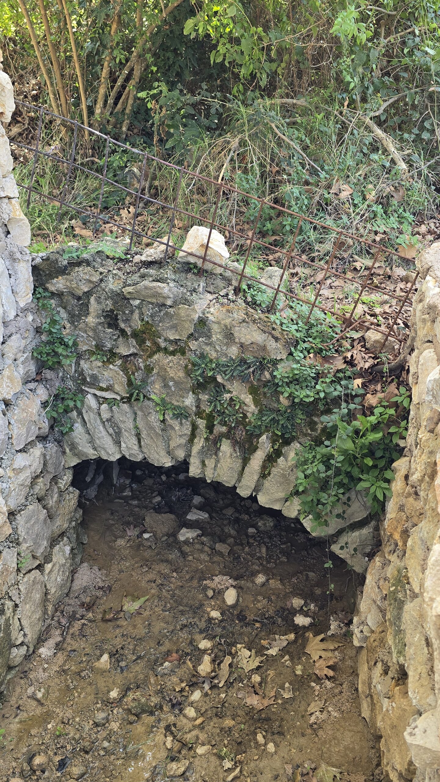 The Small Bridge by the Plane Tree